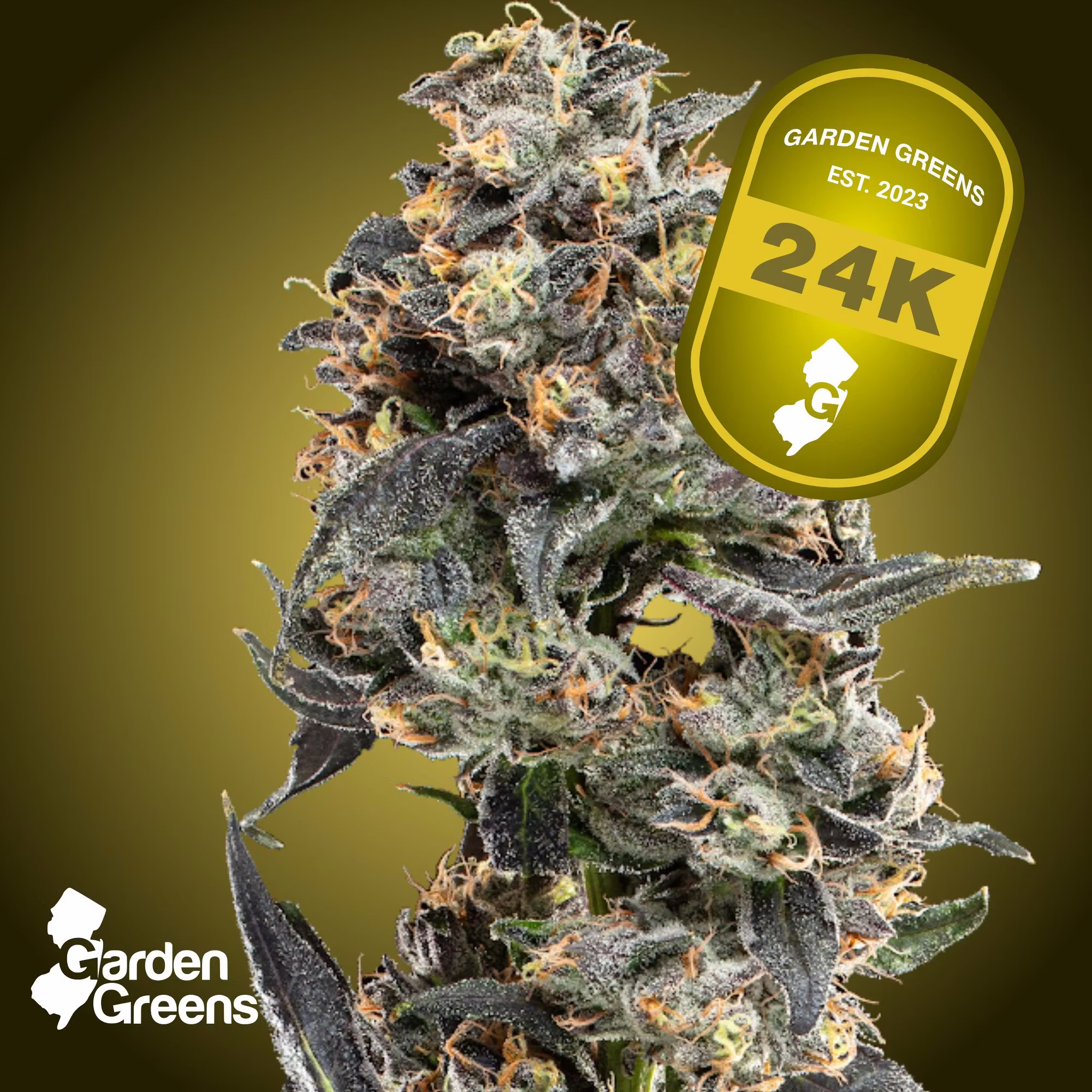 GG24k